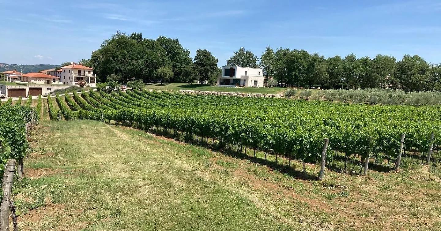 Villa Oliva Istria Vizinada