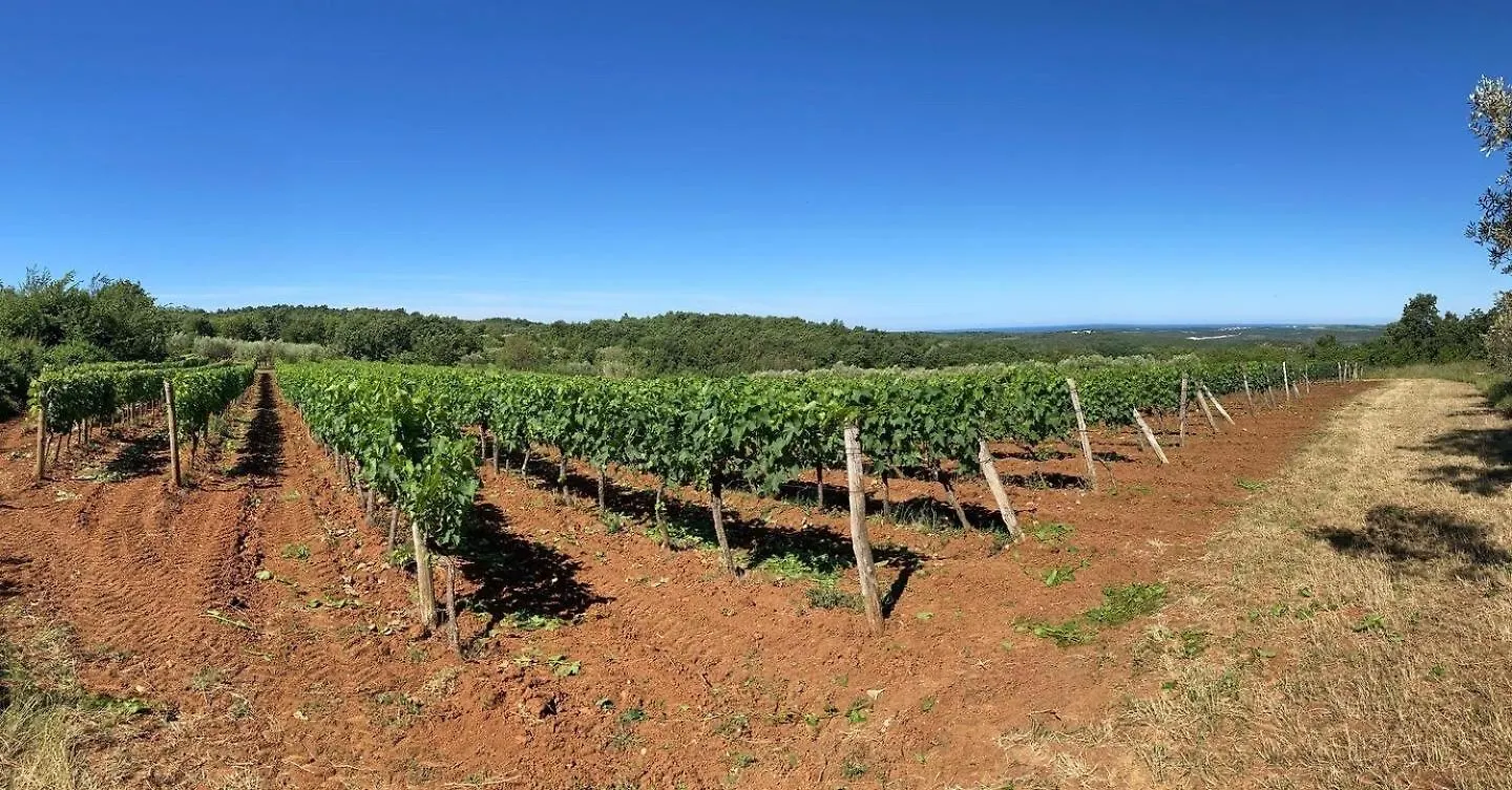 Villa Oliva Istria Vizinada