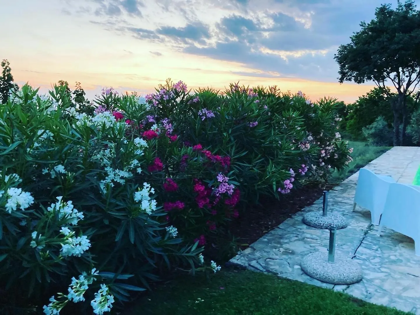 Villa Oliva Istria Vizinada 0*,  Croatia