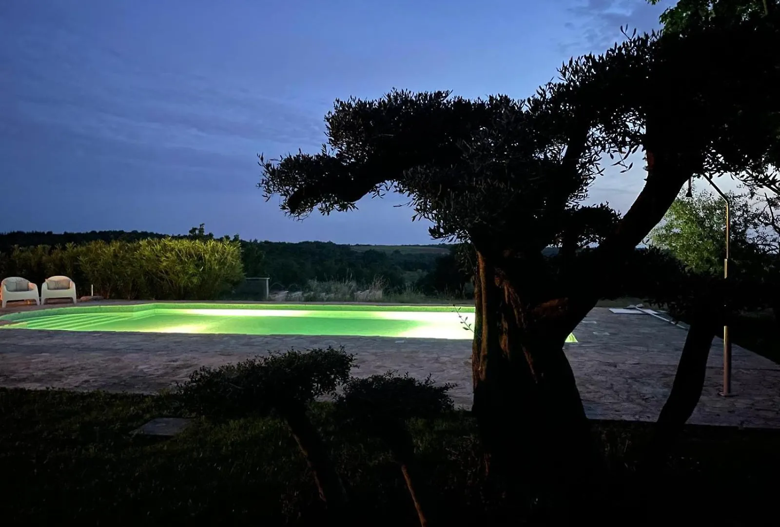 Villa Oliva Istria Vizinada