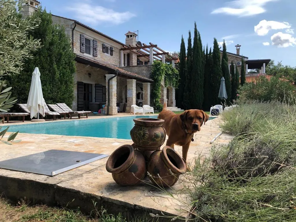 Villa Oliva Istria Vizinada