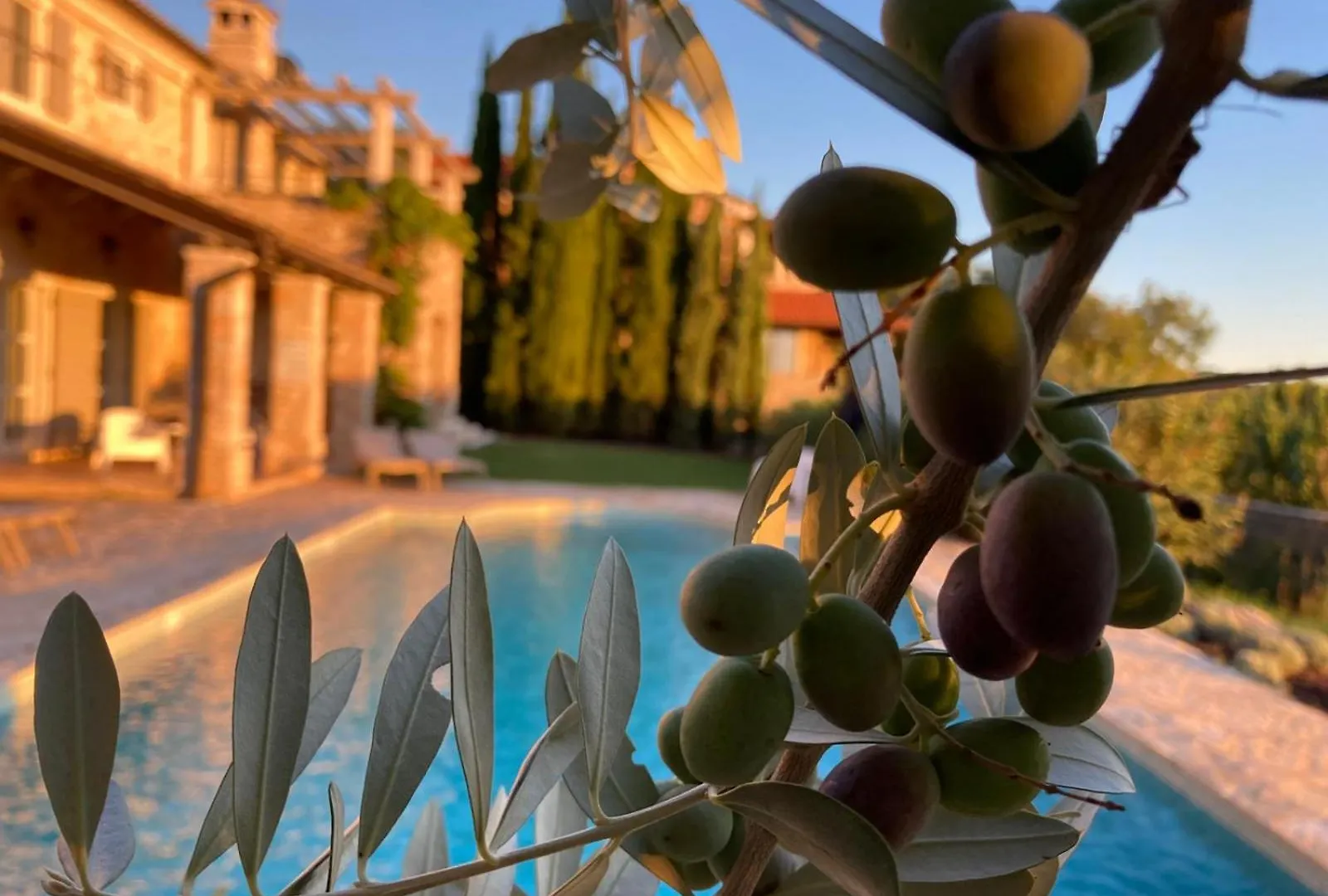 Villa Oliva Istria Vizinada
